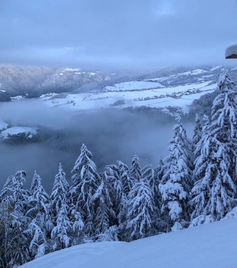 Forchnerhof Panorama - Dolomitenblick โรเดงโก ภายนอก รูปภาพ